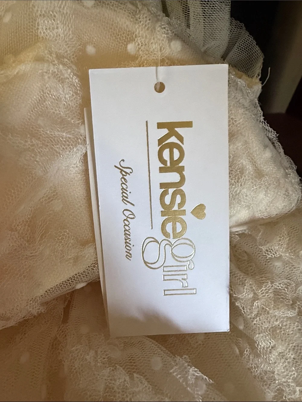 Kensie Girl Cream Lace Tiered Tulle Dress for Kids